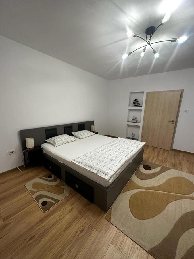 Emanuela Apartments Pecica Bagian luar foto