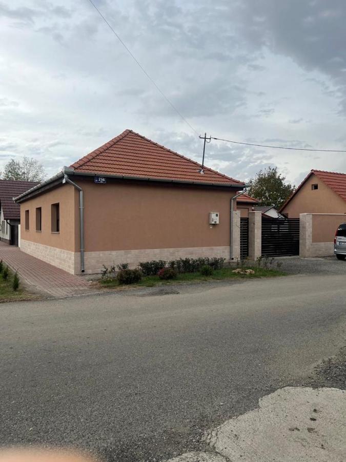 Emanuela Apartments Pecica Bagian luar foto
