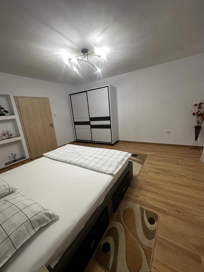 Emanuela Apartments Pecica Bagian luar foto