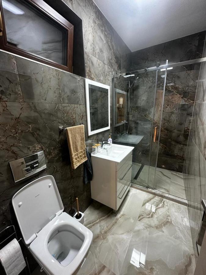 Emanuela Apartments Pecica Bagian luar foto