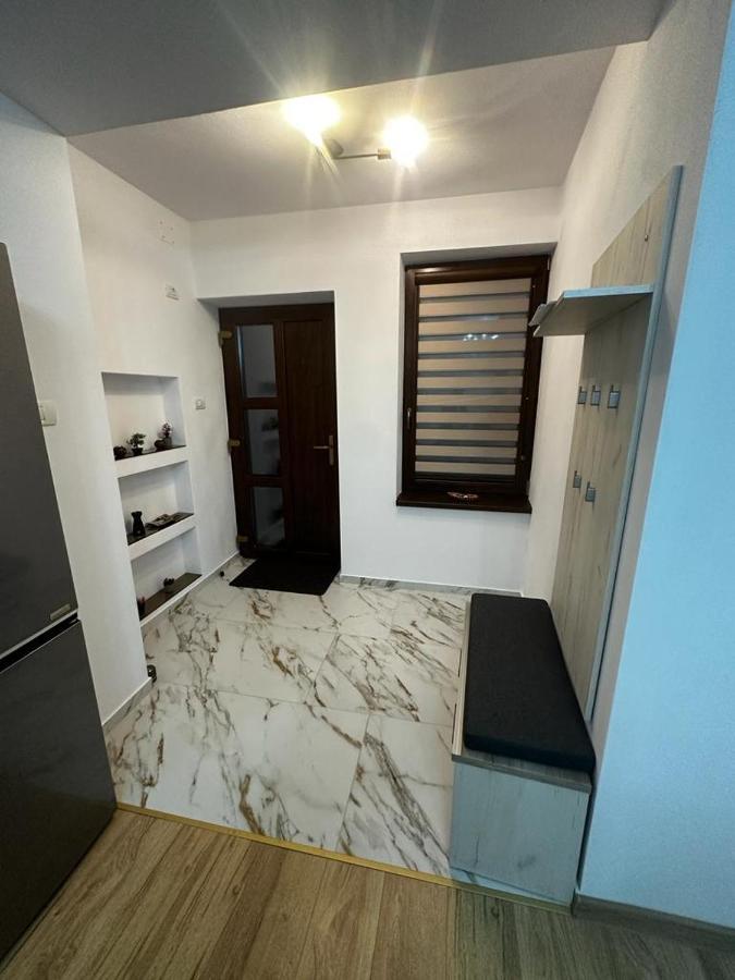 Emanuela Apartments Pecica Bagian luar foto